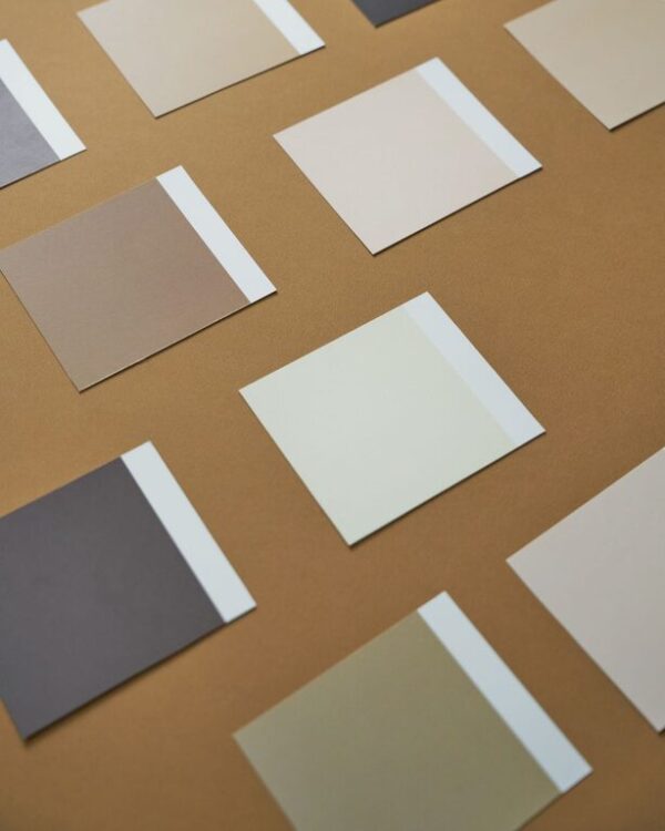 Tips for Choosing Calm Colors for Your Home